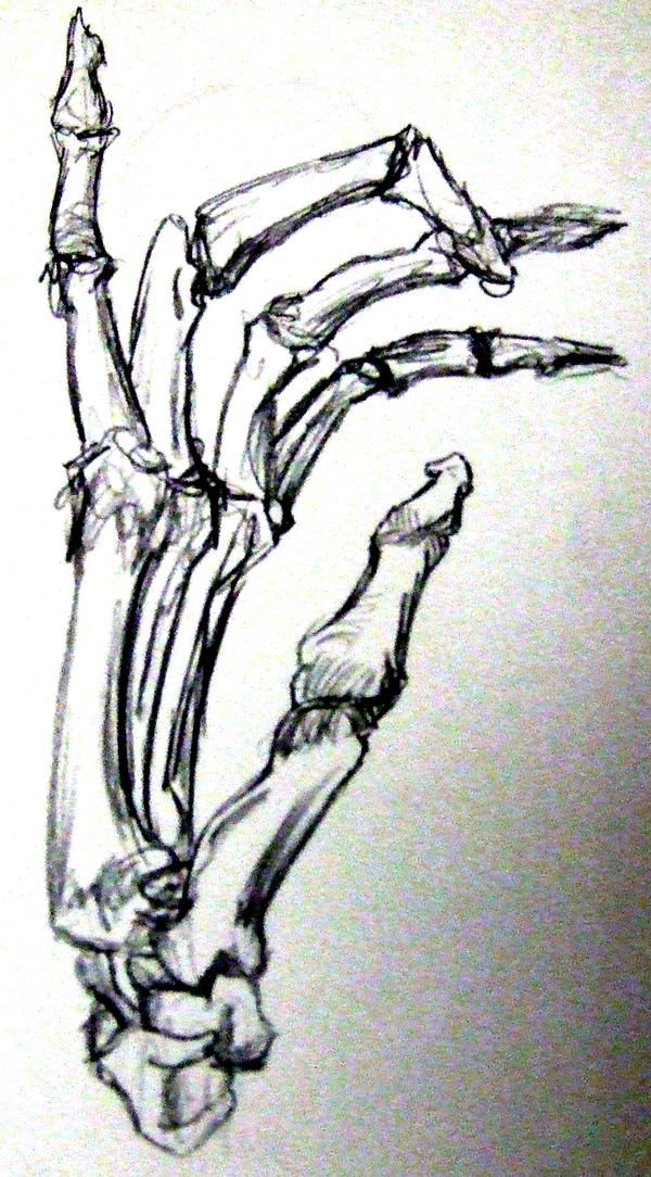 skeletal_studies_pg1_hand_by_elderyouth.jpg